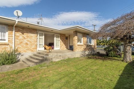 Photo of property in 22 Collingwood Street, Judea, Tauranga, 3110