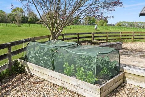 Photo of property in 39 Pickering Road, Pukemoremore, Cambridge, 3493