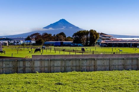 Photo of property in 38 Fantham Street, Hawera, 4610