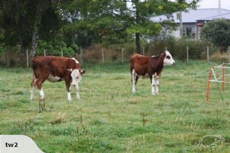 Photo of property in 509 Hossack Road, Waikite Valley, Rotorua, 3077
