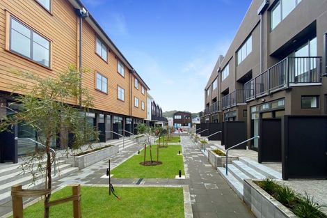 Photo of property in Aniva Terrace, 21 Arney Street, Newtown, Wellington, 6021