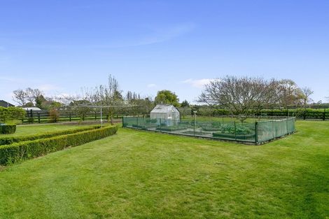 Photo of property in 491b Bruntwood Road, Tamahere, Cambridge, 3493