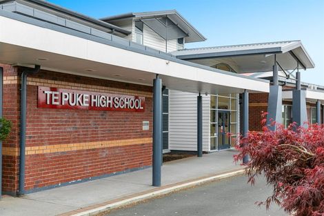 Photo of property in 78a Cameron Road, Te Puke, 3119