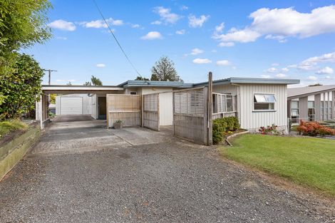 Photo of property in 31 David Street, Morrinsville, 3300
