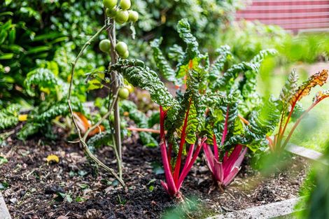 Photo of property in 105 Marine Parade, Eastbourne, Lower Hutt, 5013