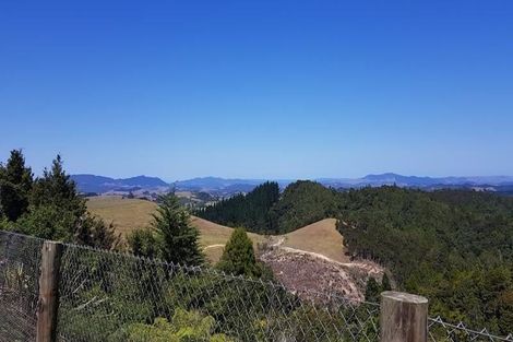 Photo of property in 489 Ruapekapeka Road, Towai, Hikurangi, 0182