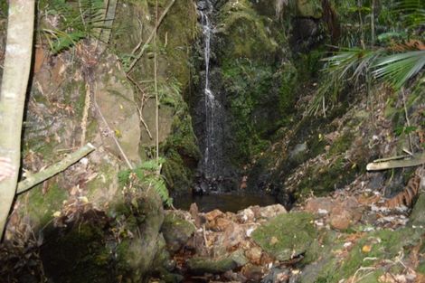 Photo of property in 1455 Buffalo Road, Coromandel, 3506