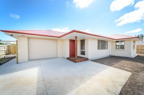 Photo of property in 43 Hereford Street, Marton, 4710