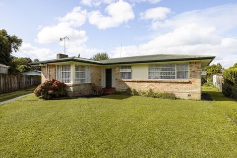 Photo of property in 30 Minifie Avenue, Melville, Hamilton, 3206