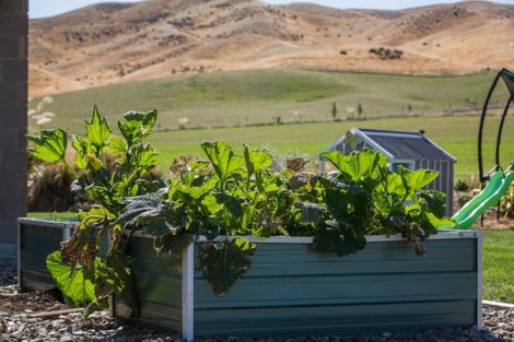 Photo of property in 222 Kinney Road, Chatto Creek, Alexandra, 9393