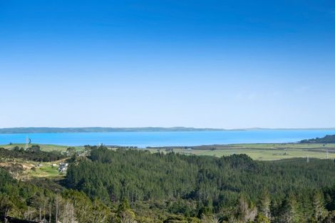 Photo of property in 223 Tuhirangi Road, Makarau, Warkworth, 0984