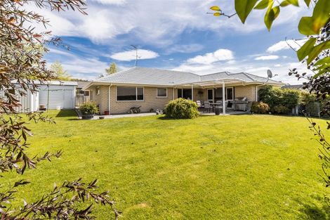 Photo of property in 49 Hillcrest Avenue, Witherlea, Blenheim, 7201