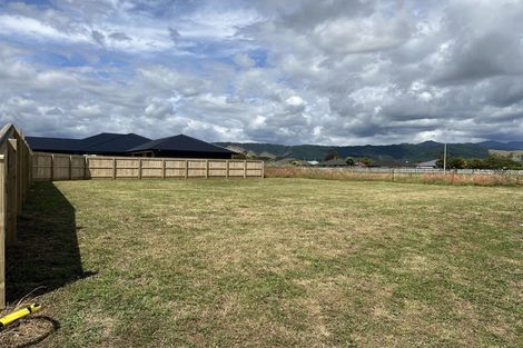 Photo of property in 44 Tainui Street, Levin, 5510