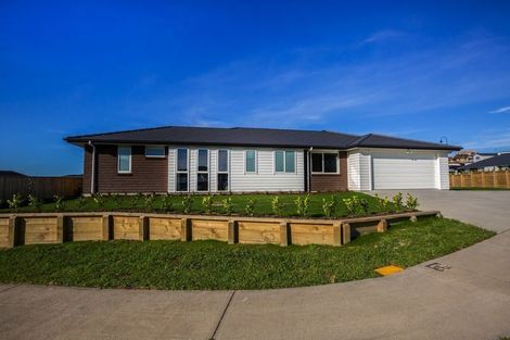 Photo of property in 64 John Burke Drive, Aotea, Porirua, 5024