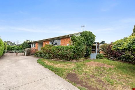 Photo of property in 66 Wrigley Road, Fordlands, Rotorua, 3015