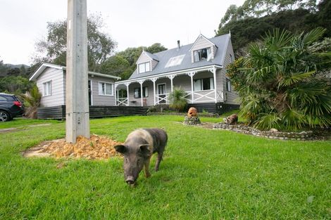 Photo of property in 761 Driving Creek Road, Coromandel, 3583