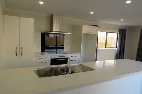 Photo of property in 43 Tennille Street, Flagstaff, Hamilton, 3210