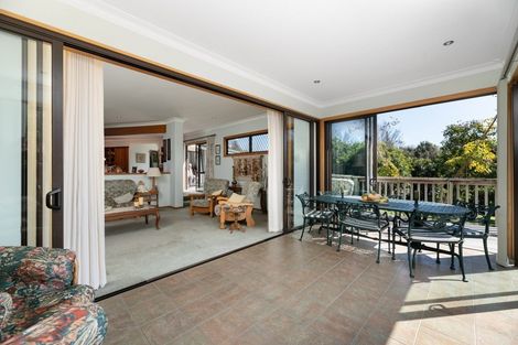 Photo of property in 120 Plummers Point Road, Whakamarama, Tauranga, 3172