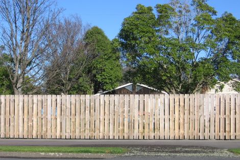 Photo of property in 133-135 Perry Street, Masterton, 5810