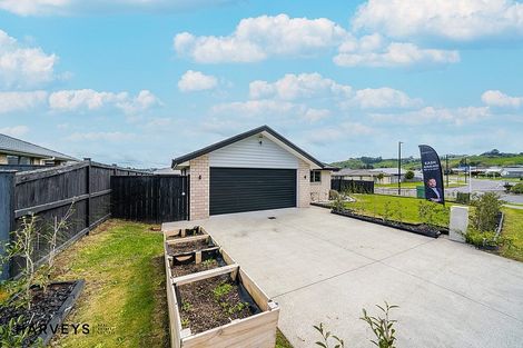 Photo of property in 125 Hillpark Drive, Pokeno, 2402