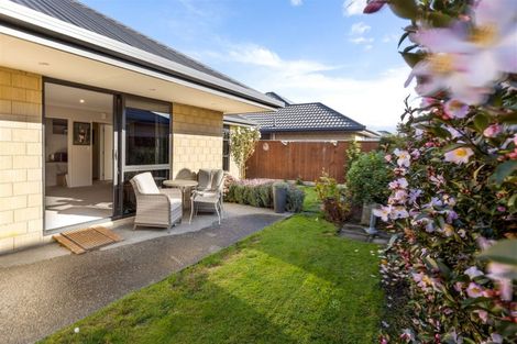 Photo of property in 2 Korari Grove, Redwoodtown, Blenheim, 7201