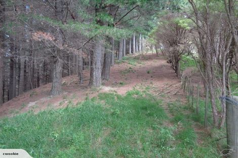 Photo of property in 141 Dodson Valley Road, Atawhai, Nelson, 7010