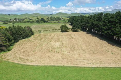 Photo of property in 685 Waitahora Road, Waitahora, Dannevirke, 4971