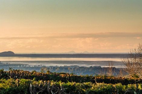 Photo of property in 533 Wainui Road South, Whakamarama, Tauranga, 3180