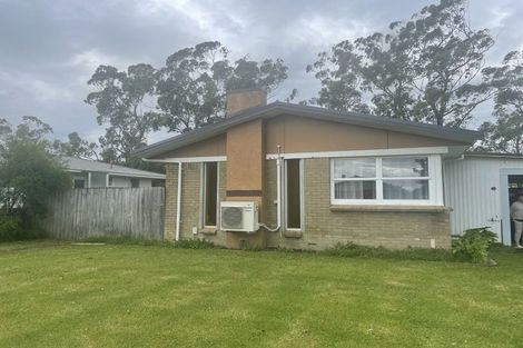 Photo of property in 29 James Henry Crescent, Huntly, 3700