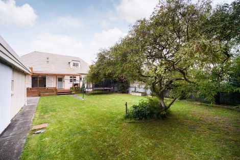 Photo of property in 39 Birmingham Street, Takaro, Palmerston North, 4412