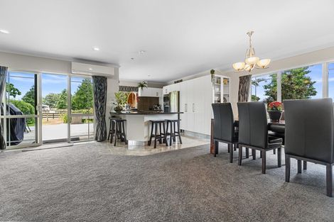 Photo of property in 147 Kiroa Road, Gordonton, Hamilton, 3281