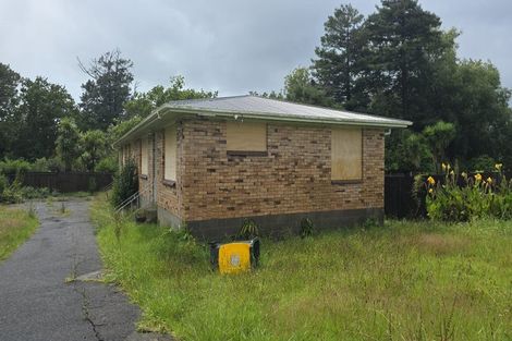 Photo of property in 10 Factory Lane, Hikurangi, 0114