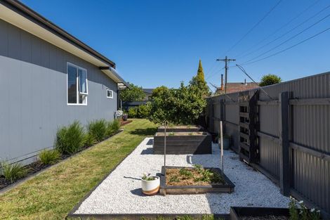 Photo of property in 31 Rogers Street, Blenheim, 7201