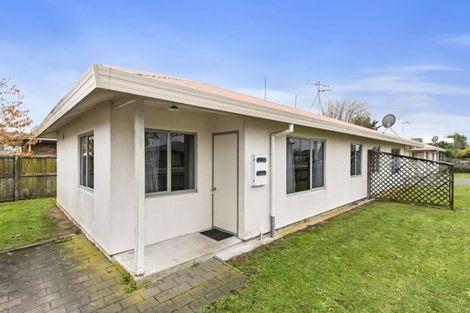 Photo of property in 36 Campbell Street, Havelock North, 4130