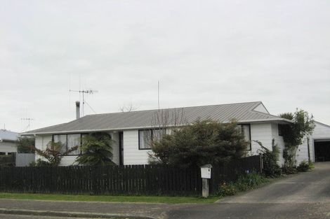 Photo of property in 20 Douglas Street, Levin, 5510