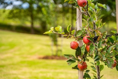 Photo of property in 470 Oruawharo Road, Oruawharo, Wellsford, 0975