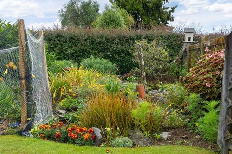 Photo of property in 9 Chester Street, Levin, 5510