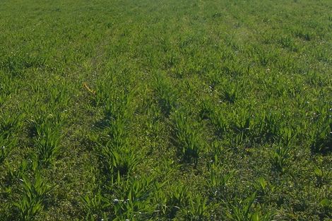 Photo of property in 496 Rangiora Leithfield Road, Sefton, Rangiora, 7477