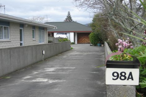 Photo of property in 98a Winchester Street, Levin, 5510