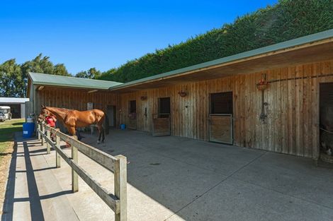 Photo of property in 31 Melville Road, Awakeri, Whakatane, 3193