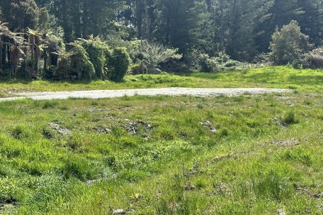 Photo of property in 46 Seddons Tce Road, Ruatapu, Hokitika, 7883