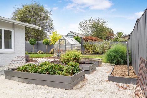 Photo of property in 13 Knightsbridge Place, Dinsdale, Hamilton, 3204