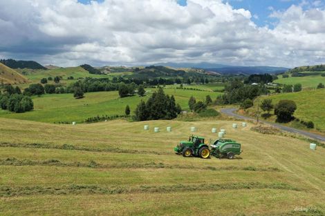 Photo of property in 211 Waitetuna Valley Road, Waitetuna, Raglan, 3295