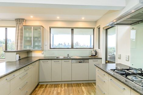 Photo of property in 43 Ribbonwood Road, Geraldine Downs, Geraldine, 7991