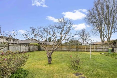 Photo of property in 6 Edmund Hillary Avenue, Papakura, 2110
