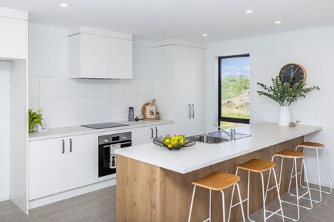 Photo of property in 17 Tekapo Road, Baverstock, Hamilton, 3200