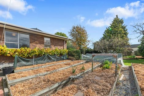 Photo of property in 8 James Street, Lincoln, 7608