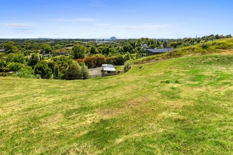 Photo of property in 39 Corbett Drive, Minden, Tauranga, 3176