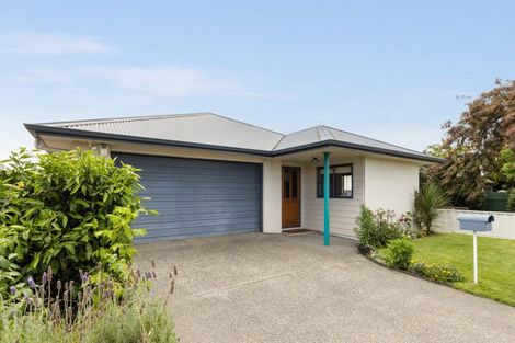 Photo of property in 118 Allerton Street, Saint Leonards, Hastings, 4120