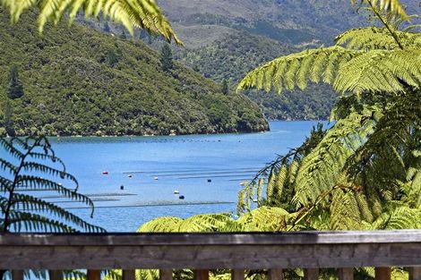 Photo of property in 593 Bill Bryants Road, Squally Cove, French Pass, 7193